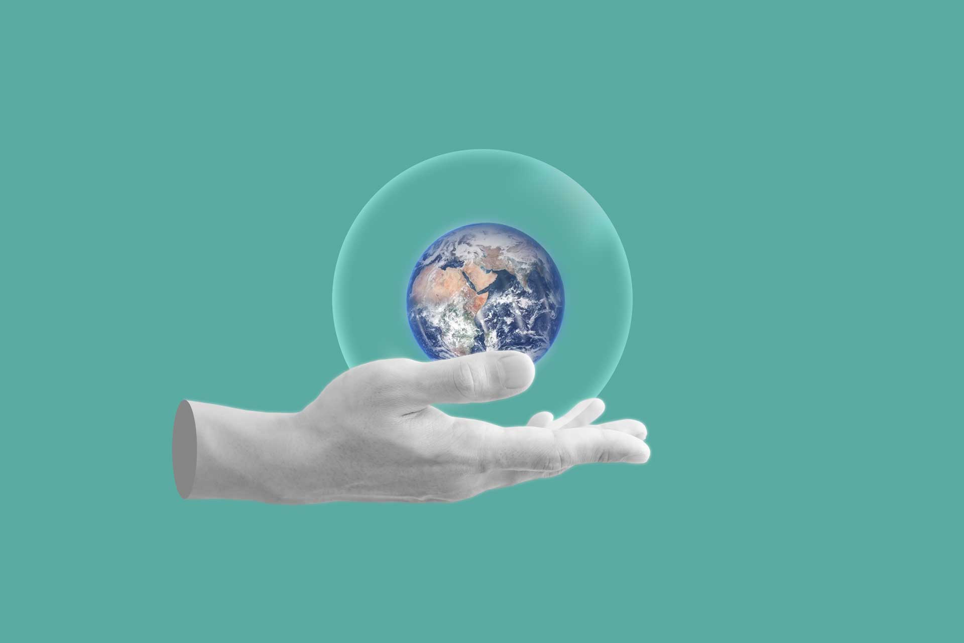 Sustainability
