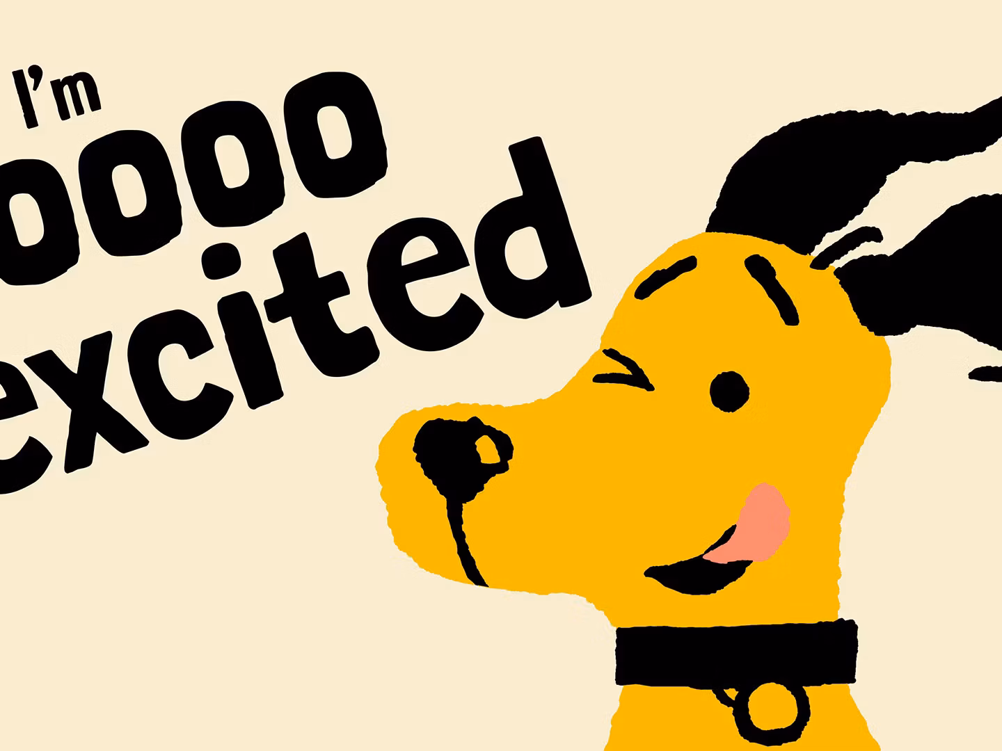 Dogs Trust adopts a “dog’s eye view”
