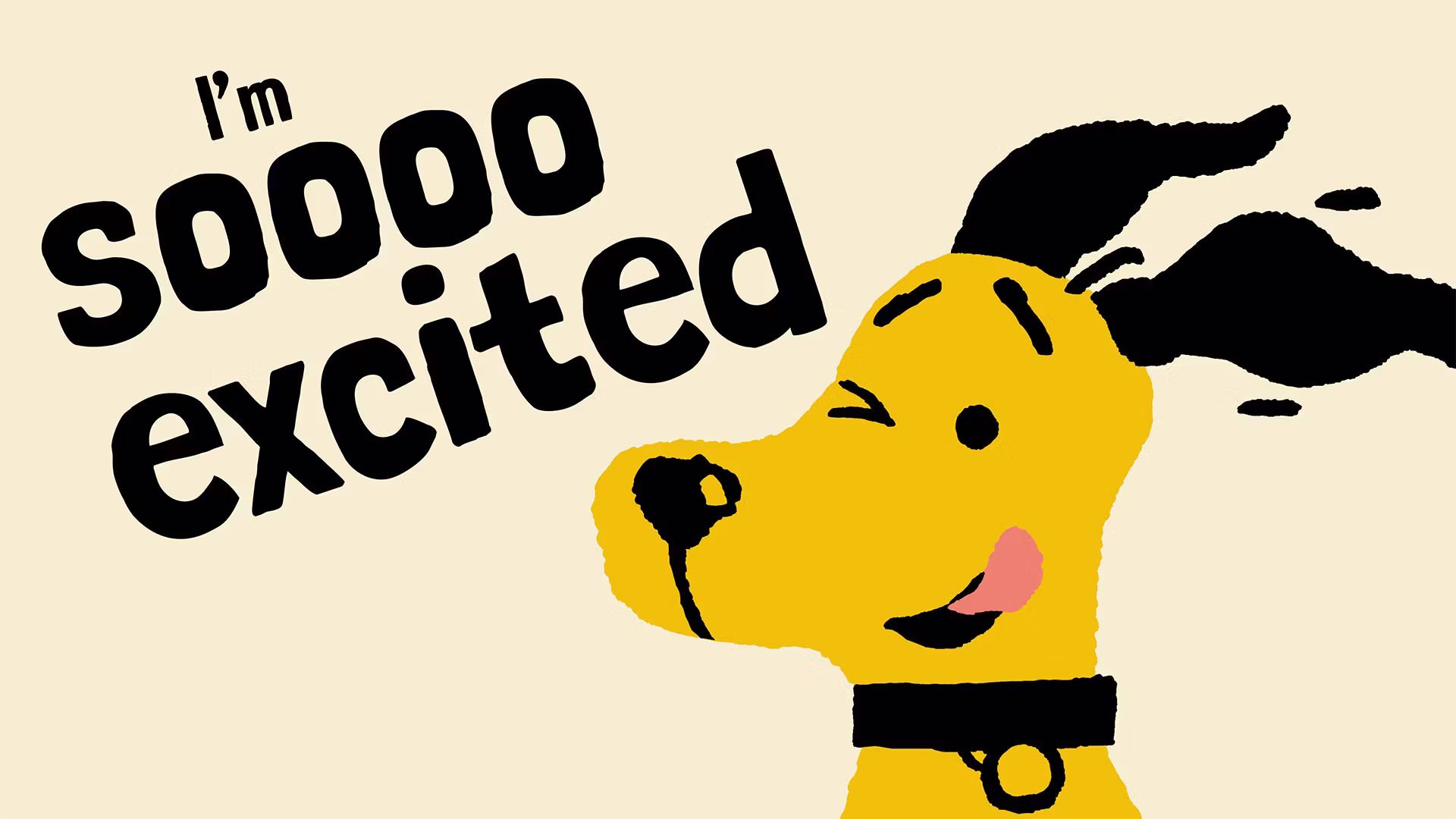 Dogs Trust adopts a “dog’s eye view”